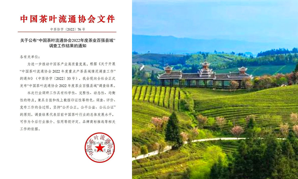 黎平县上榜“中国茶业百强县域”