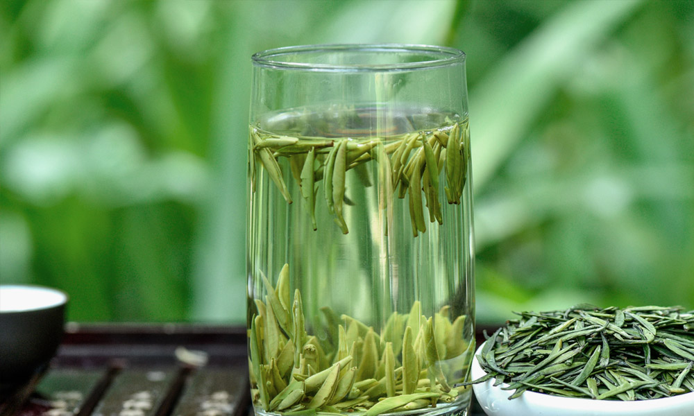 茶知识：喝绿茶有哪些禁忌？绿茶的七大禁忌你一定要知道