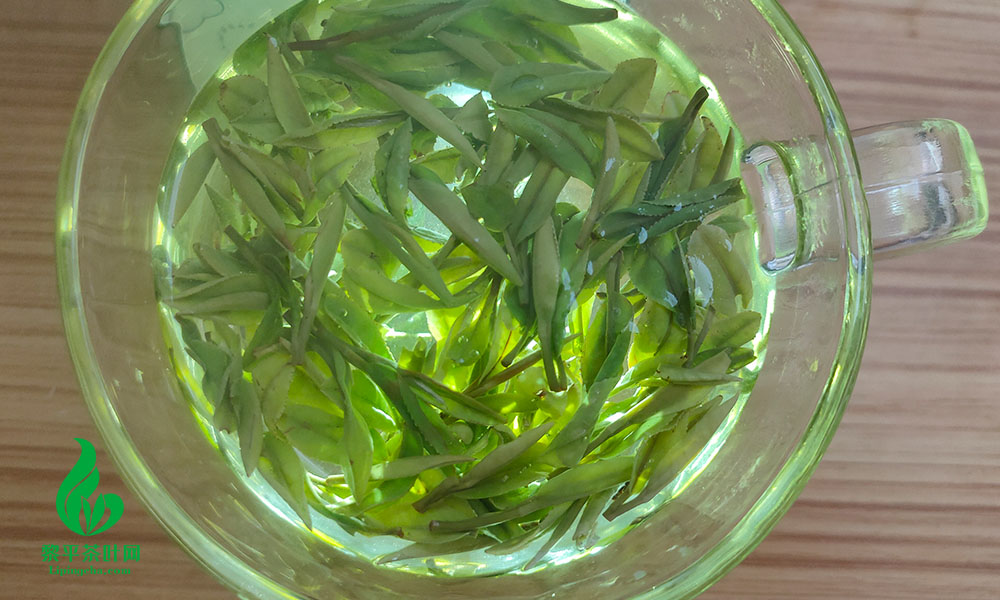 黎平茶冲泡效果