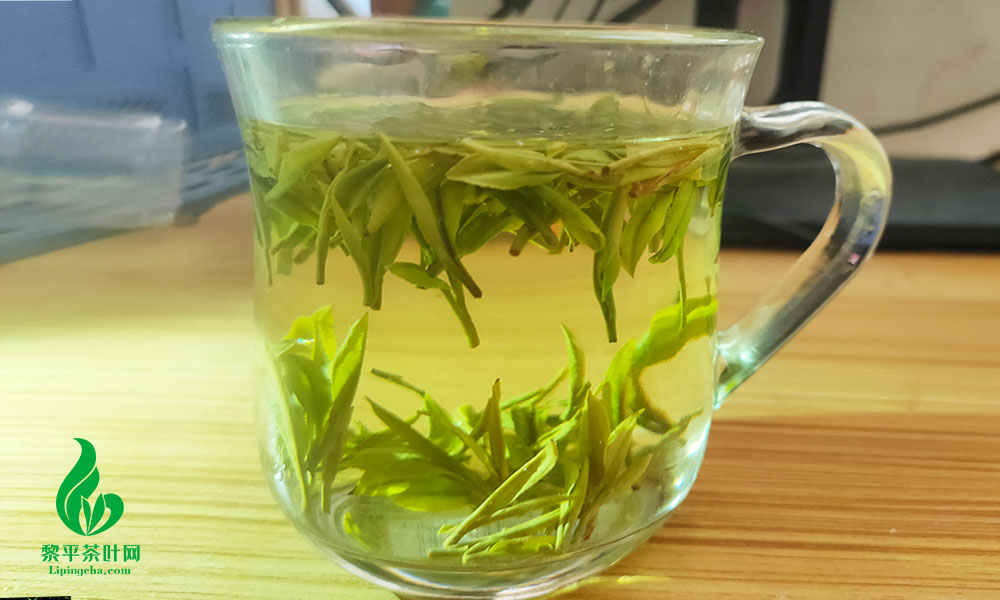 绿茶怎么区分好坏？这几招让你学会绿茶判断标准