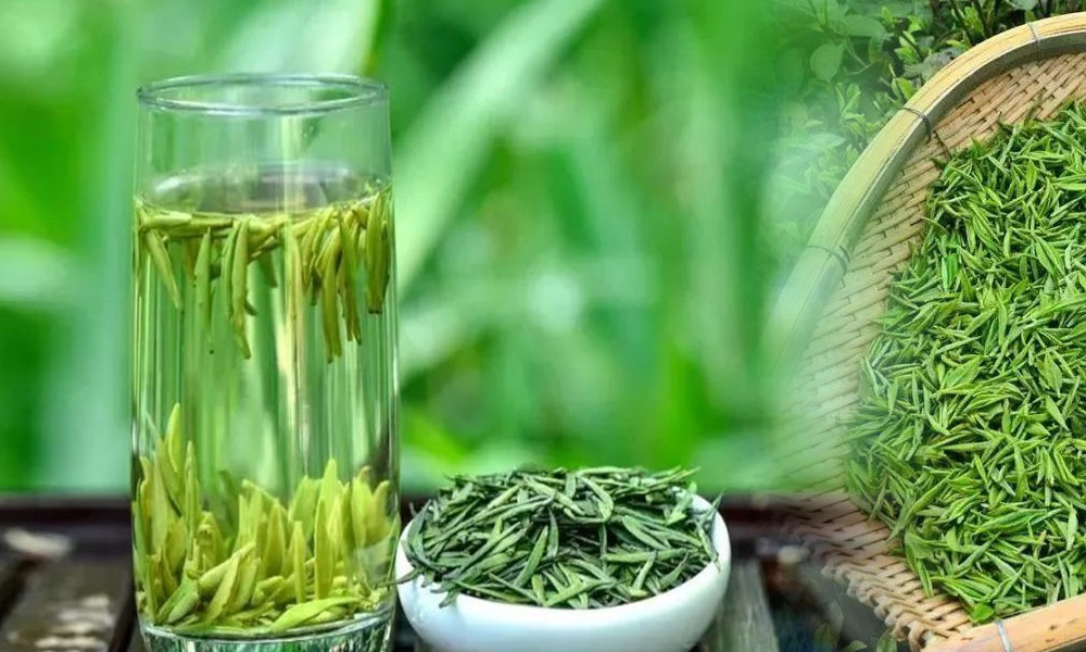中国十大名茶之一都匀毛尖茶
