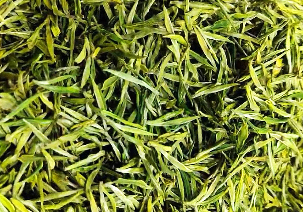 黎平白茶与黎平白茶行业标准