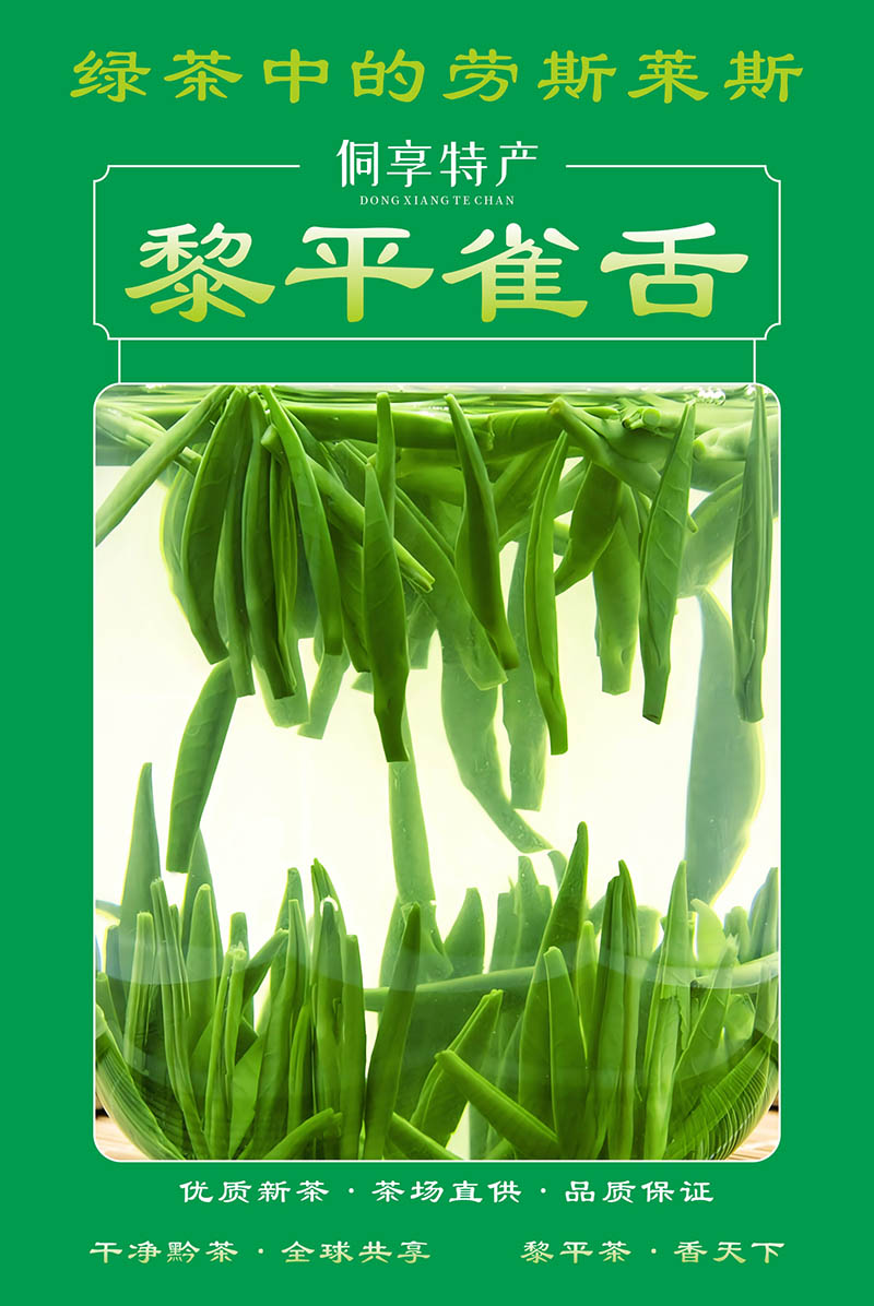 高端绿茶：黎平雀舌茶