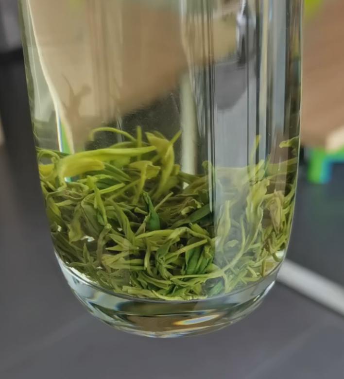 lptea3.jpg